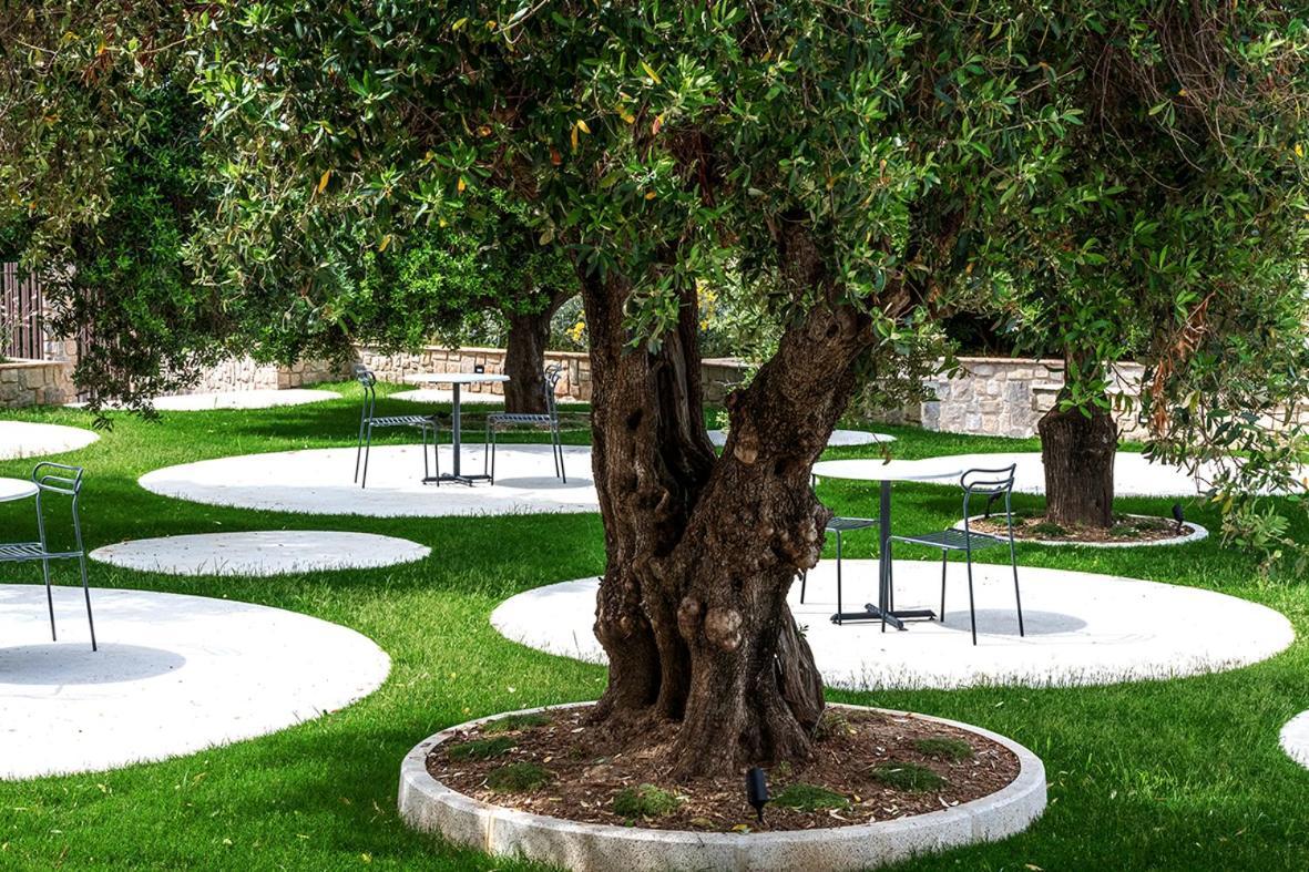 Oliveto A Mare - Suite & Apartment Ascea Kültér fotó
