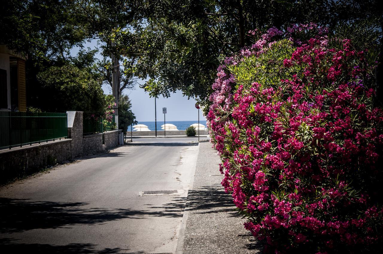 Oliveto A Mare - Suite & Apartment Ascea Kültér fotó