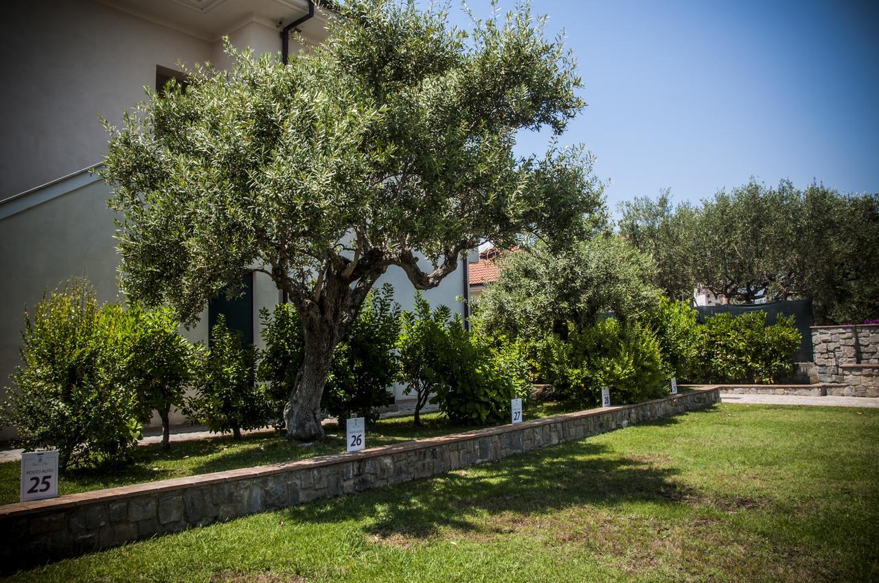 Oliveto A Mare - Suite & Apartment Ascea Kültér fotó