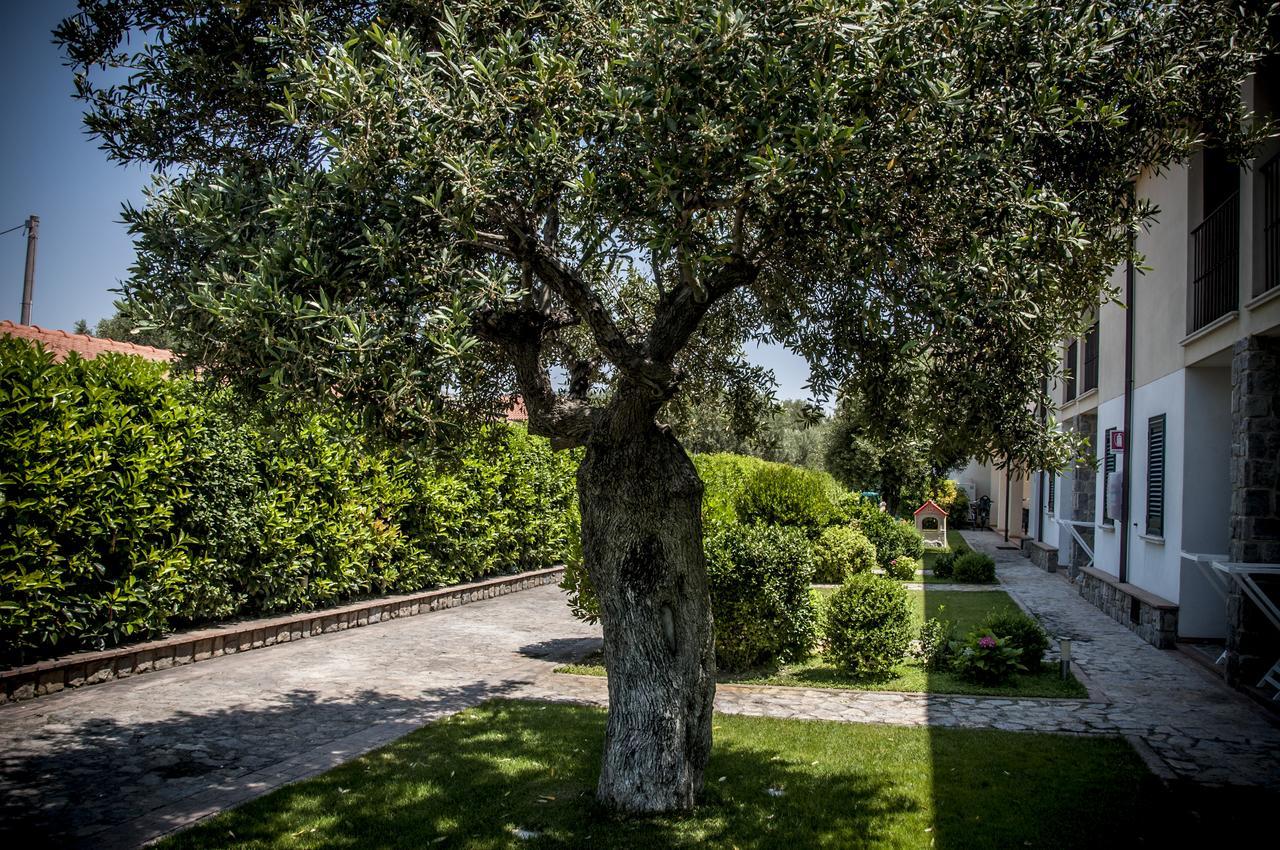 Oliveto A Mare - Suite & Apartment Ascea Kültér fotó