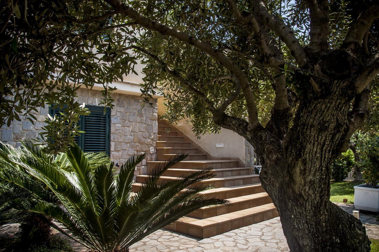 Oliveto A Mare - Suite & Apartment Ascea Kültér fotó