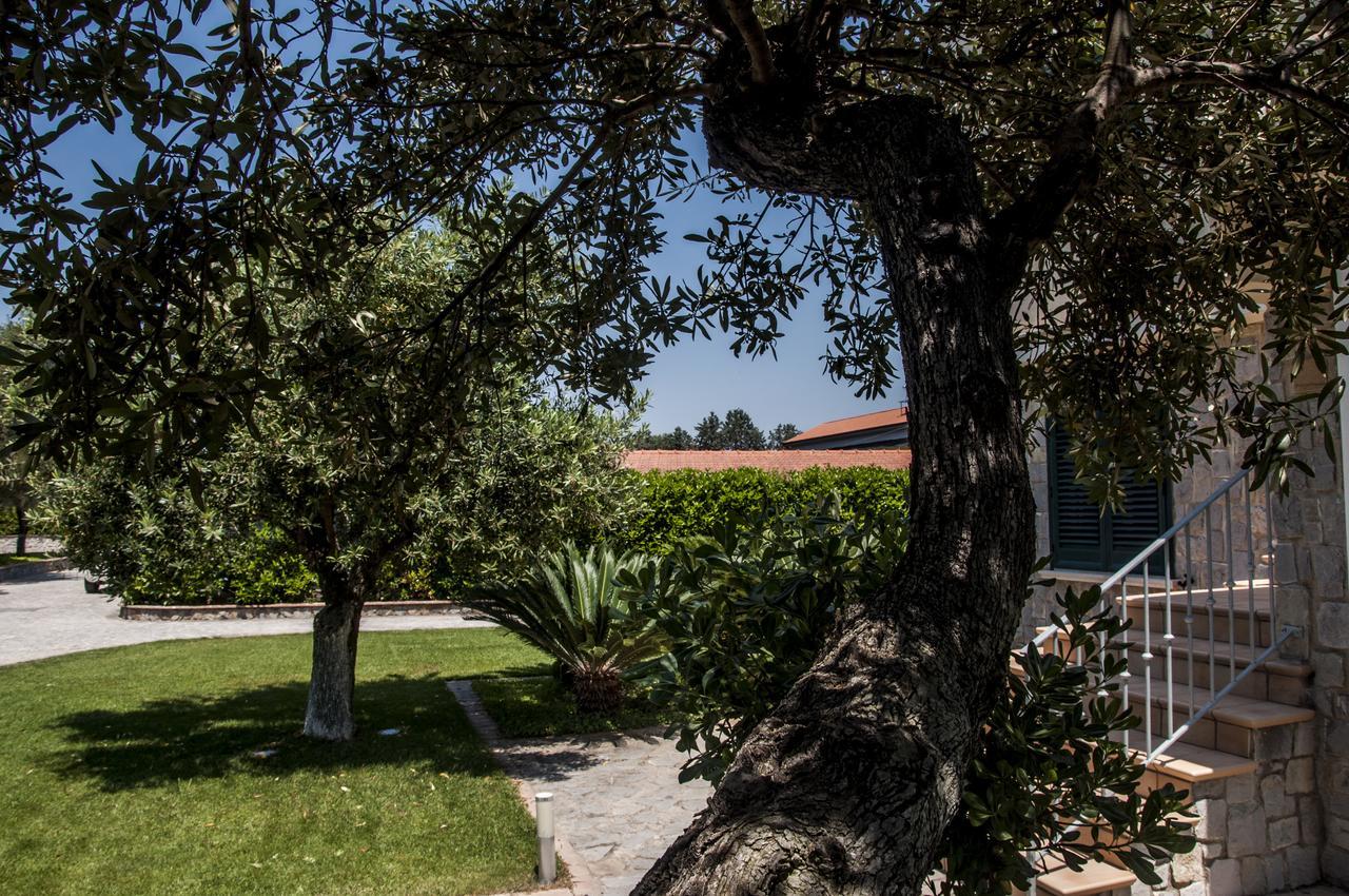 Oliveto A Mare - Suite & Apartment Ascea Kültér fotó