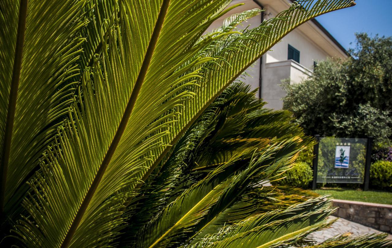 Oliveto A Mare - Suite & Apartment Ascea Kültér fotó